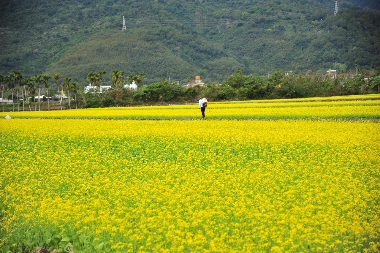 Guanshan Fukuda Homestay Bagian luar foto